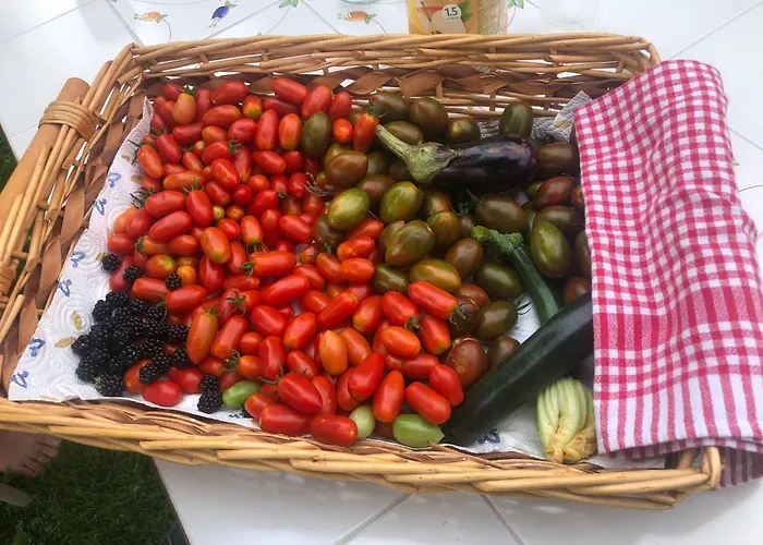 Agriturismo Corte Patrizia Caprino Veronese